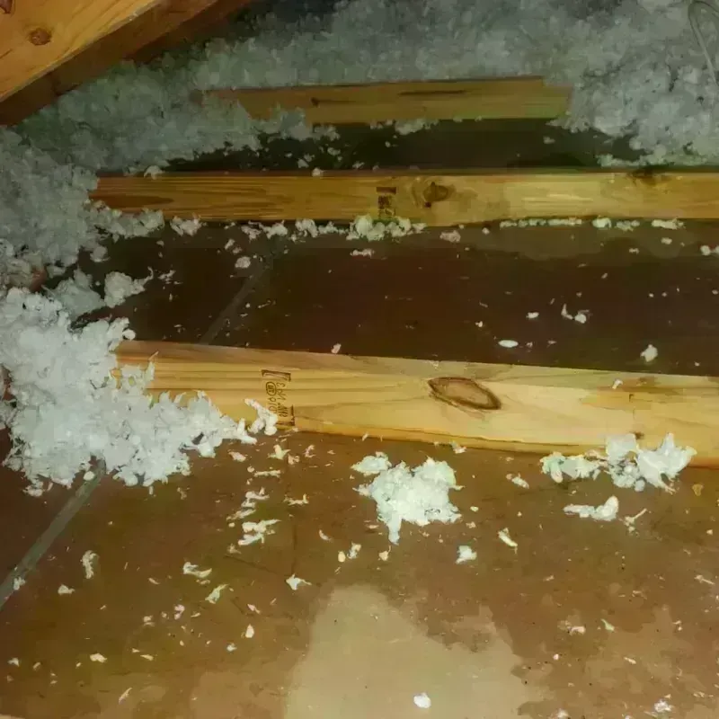 Attic Water Damage in Pickens County, GA