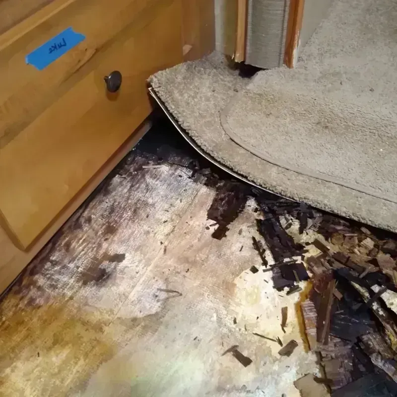 Best Wood Floor Water Damage Service in Pickens County, GA